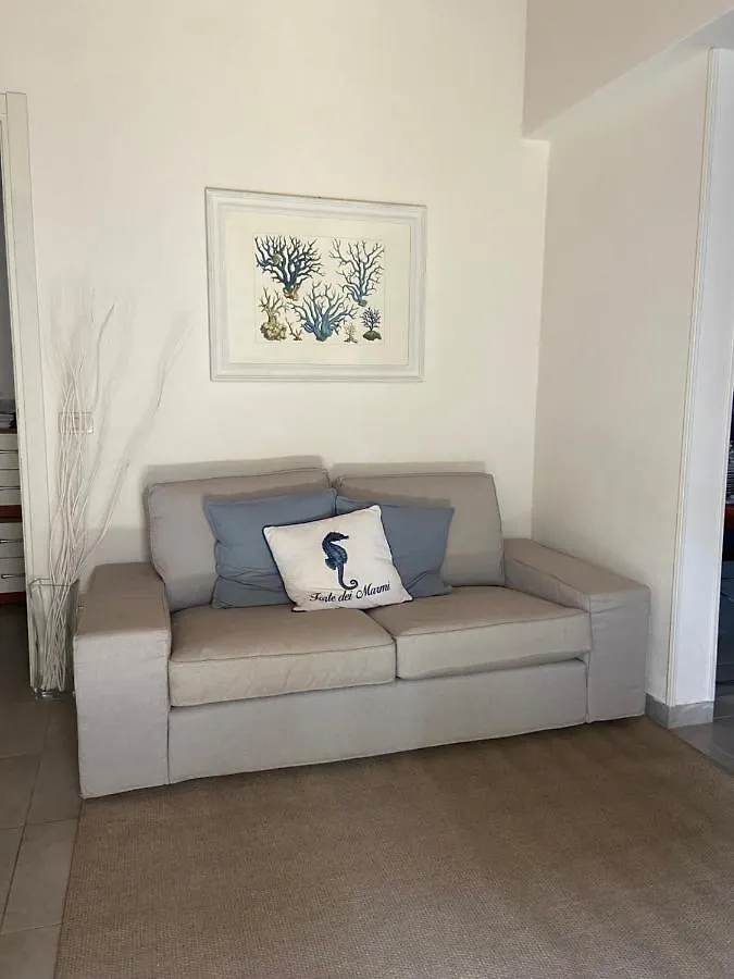 Holiday home La Casa Del Maestro Villa Forte dei Marmi